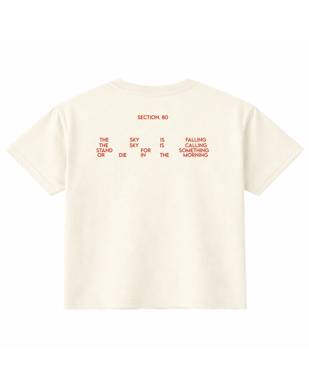 Off White Boxy Fit T-shirt Back Design