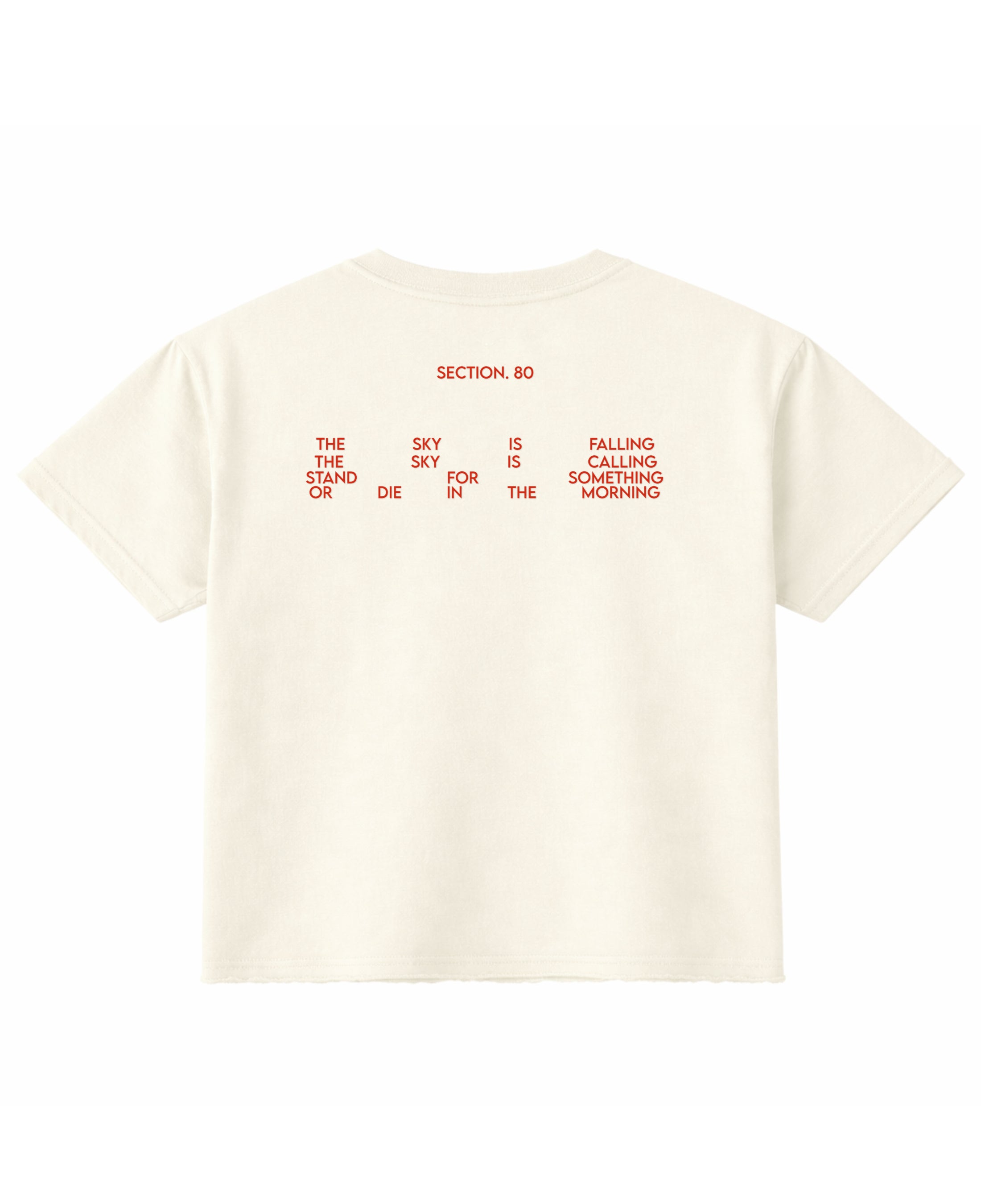 Off White Boxy Fit T-shirt Back Design